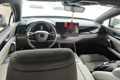 2024 BYD Tang PHEV 2024 1.5T AT DM-i Glory 112KM Premium #12