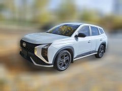2023 Hyundai ix35 2023 Mu Sa 2.0L AT LeadingGLS #1