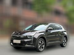 2022 Neta U 2021 Facelift Pro 400 ExclusivecontrolEdition #1