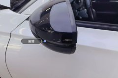 Left Exterior Mirror