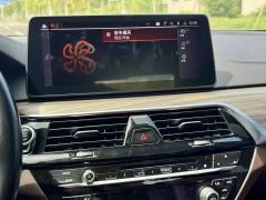 2018 BMW 5 Series 2018 2.0T AT 530LiExclusiveLuxury Pkg #8