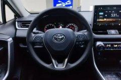 2021 Toyota Wildlander 2020 2.0 AT Luxury 4WD #15