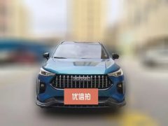 2021 Haval Chitu 2021 1.5T AT ProvokingEdition Platinumrabbit #2