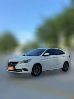 2019 Chang'an Eado DT 2018 1.6 AT Smart #1