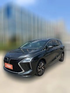 2023 Dongfeng Fengxing Fengxing Youting 2022 1.5T AT DCTChase the wavesEdition #1