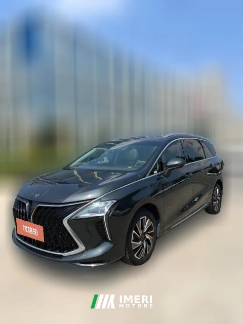 2023 Dongfeng Fengxing Fengxing Youting 2022 1.5T AT DCTChase the wavesEdition