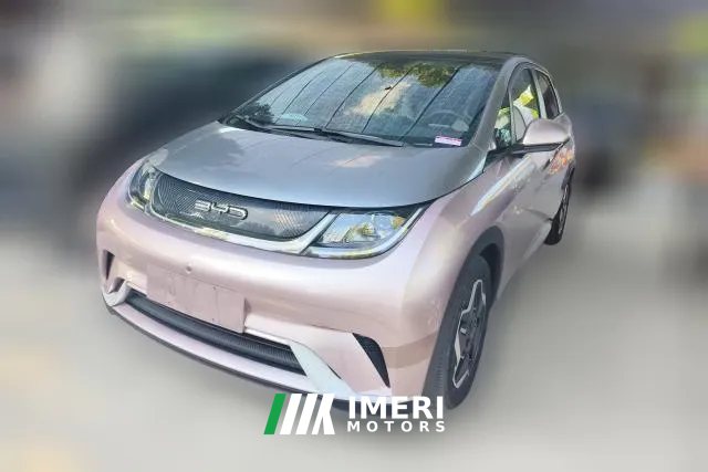 2022 BYD Dolphin 2021 405km Fashion