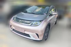 2022 BYD Dolphin 2021 405km Fashion #1