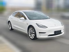 2020 Tesla Model 3 2020 StandardBattery lifeRWDUpgradeEdition #2