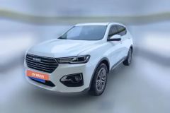 2018 Haval H6 2019 1.5T AT Blue LabelChampion #1