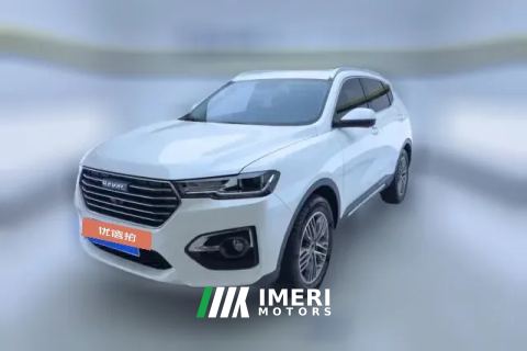 2018 Haval H6 2019 1.5T AT Blue LabelChampion