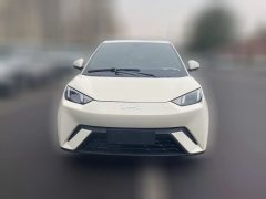 2024 BYD Seagull 2024 Glory 405KM flyEdition #2