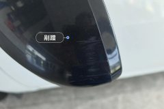 Left Exterior Mirror