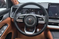2022 Tank 500 2022 3.0T AT high-endCustom 5Seat #15