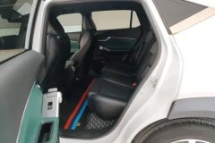 2023 GAC Trumpchi Trumpchi Yingku 2022 1.5T AT SuperNewstarProEdition #11