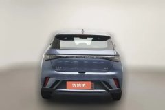 2024 BYD Dolphin 2025 420km vitalityEdition #4
