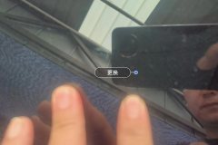Windshield