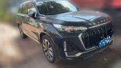 2023 Exeed Lanyue 2023 2.0T AT 400T 4WDStar Premium 6Seat #2
