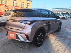 2022 BYD Dolphin 2021 405km Fashion #9