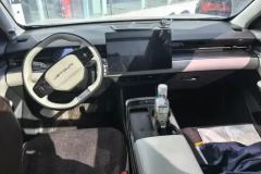 2023 Jetour Dasheng 2022 1.6T AT DCTkingSPORT #12