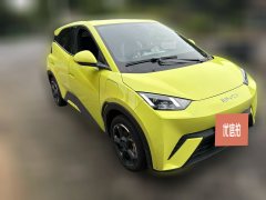 2024 BYD Seagull 2024 Glory 405KM flyEdition #4