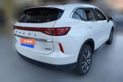 2023 Haval H6 2022 No.3generation 1.5T AT 2WDMax #3