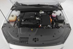 2024 BYD Qin Plus 2024 Glory 1.5L AT DM-i 55KMLeading #10