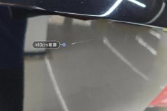 Trunk Lid