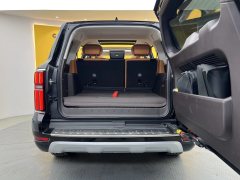 2025 Tank 500 PHEV 2024 Hi4-T 2.0T AT #28