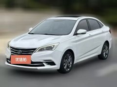 2018 Chang'an Eado DT 2018 1.6 AT Smart #1