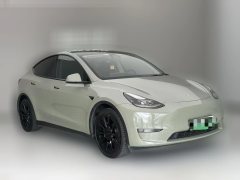 2021 Tesla Model Y 2021StandardBattery lifeRWDEdition #3