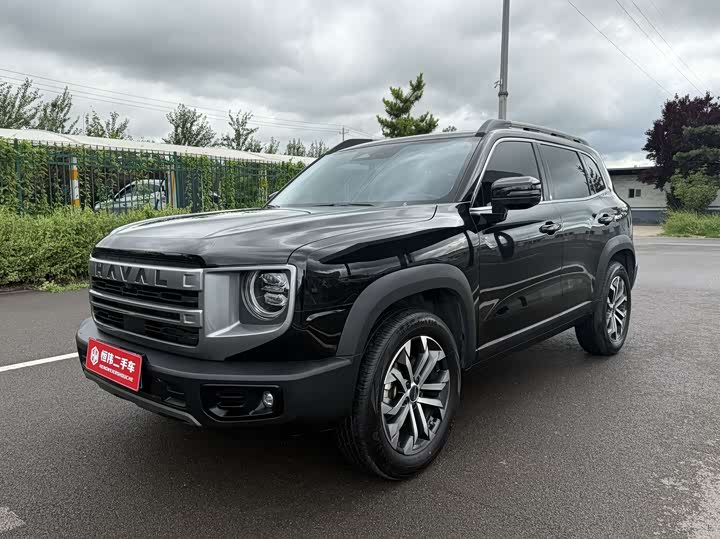 Haval Big Dog 2024 1.5T DCT Border Collie Edition