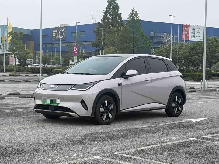 Dolphin 2025 smart driving version 410km fashion version
