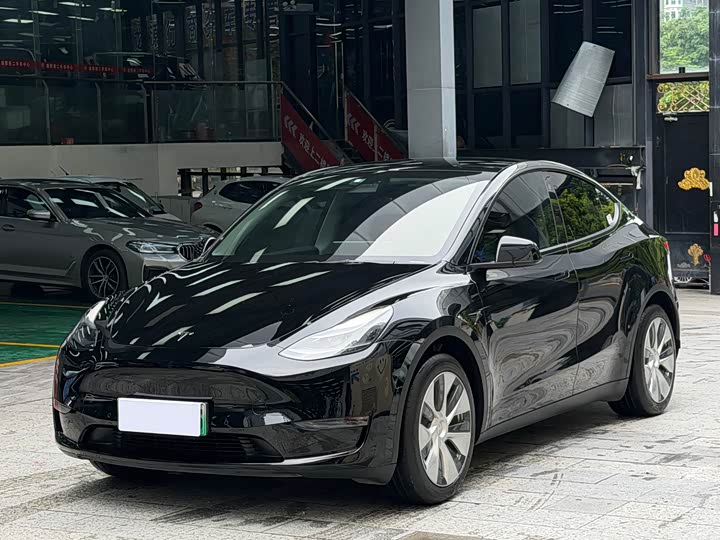 Model Y 2021 standard range rear-wheel drive version