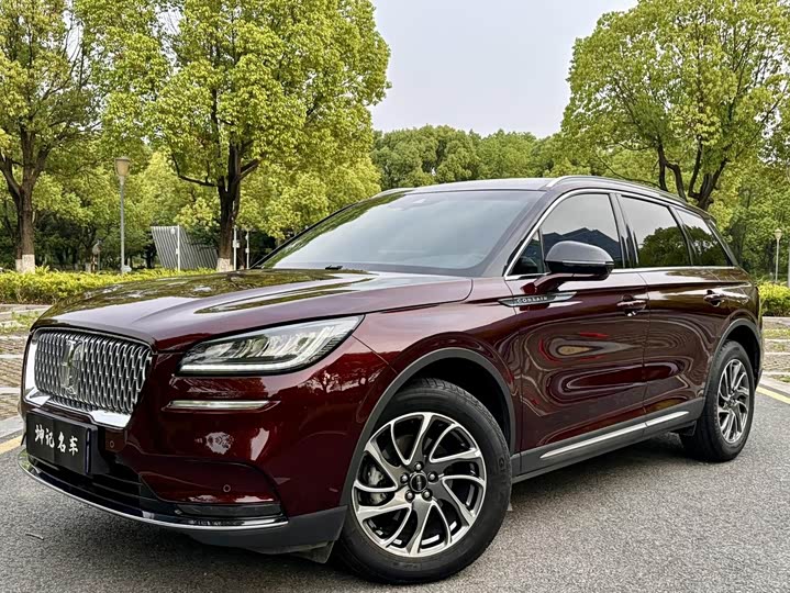 Adventurer 2021 2.0T Two-wheel drive Premium Edition
