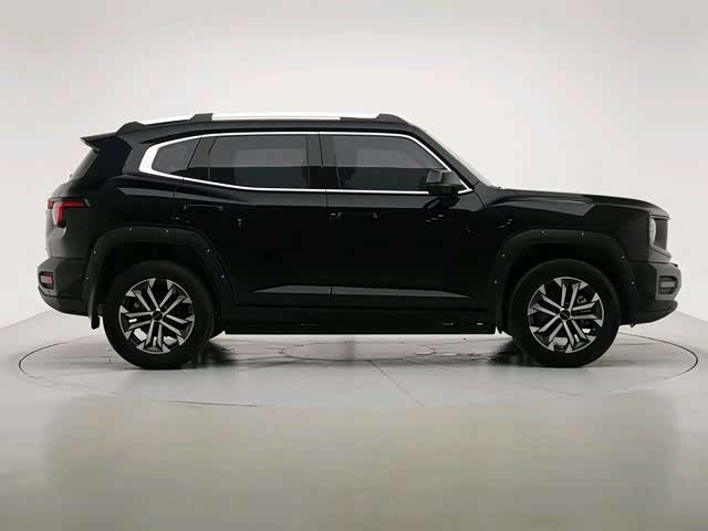 Haval Big Dog PLUS 2023 2.0T two-wheel drive wild version Plus