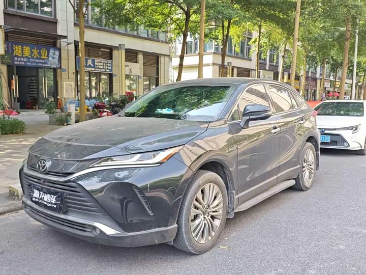 Lingfang HARRIER 2022 2.0L CVT two-wheel drive exclusive version