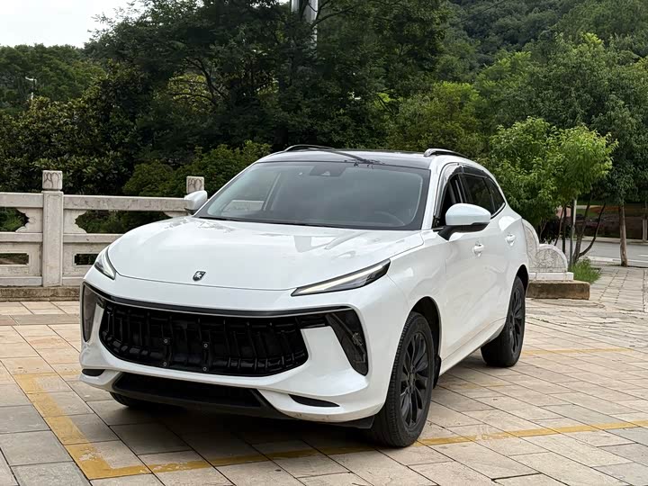 Fengxing T5 EVO 2021 1.5TD DCT Platinum Edition
