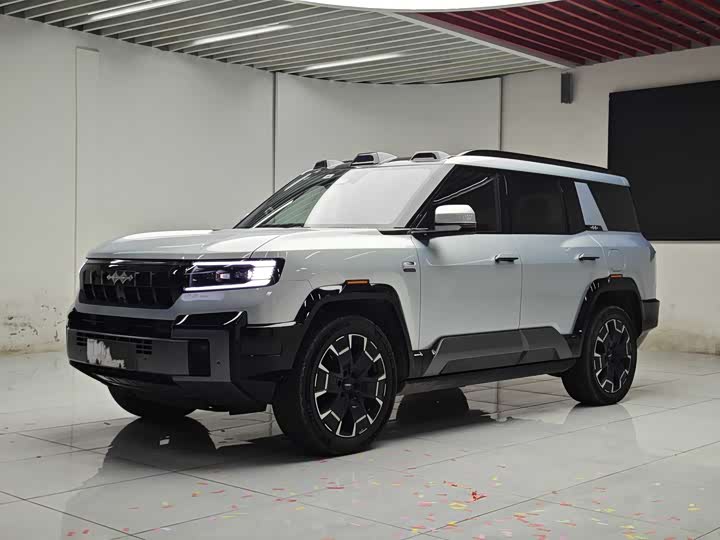 Leopard 8 2025 Zhiyong flagship version 6 seats