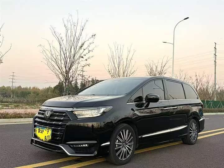 Alison 2024 model 2.0L e:HEV luxury version 