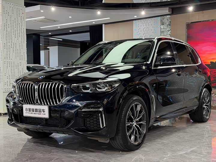 BMW X5 2022 xDrive30Li M Sport Package