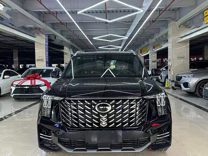 Trumpchi GS8 2025 Pilot Series 2.0TGDI two-wheel drive luxury version 5 seats
