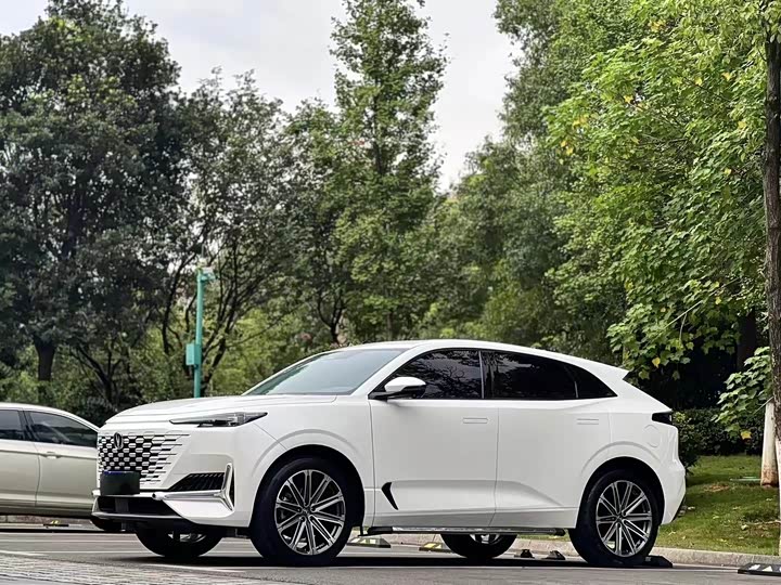 Changan UNI-K 2024 2.0T two-wheel drive Yueshang model