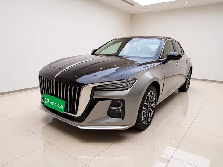 Hongqi H5 2024 2.0T Automatic Zhilianqichang Edition