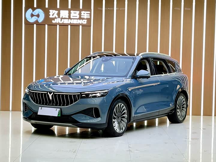 Lantu FREE 2021 four-wheel drive standard extended range exclusive luxury package