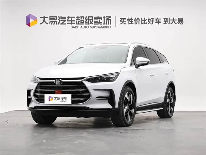 Tangxin Energy 2023 DM-i Champion Edition 112KM Premium Type
