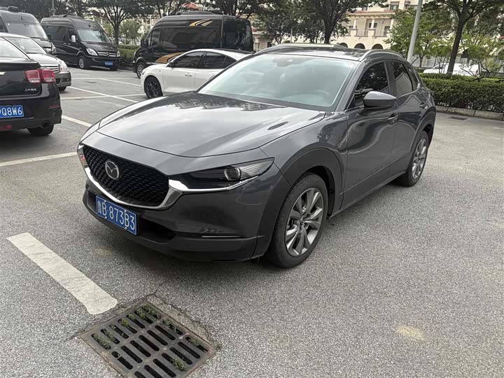 Mazda CX-30 2021 2.0L automatic Jiayue type