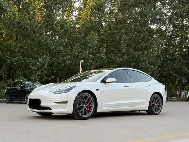 Model 3 2021 Performance high-performance all-wheel drive version