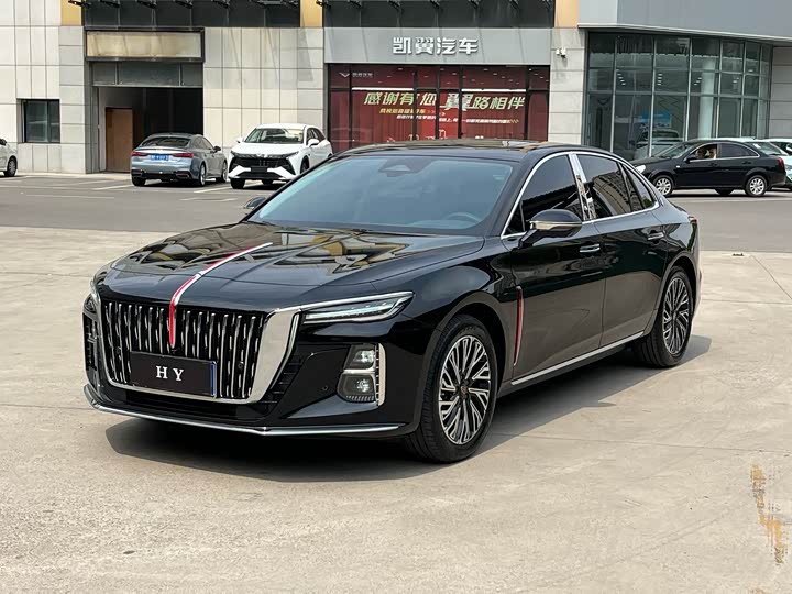 Hongqi H5 2024 2.0T Automatic Zhilianqichang Edition