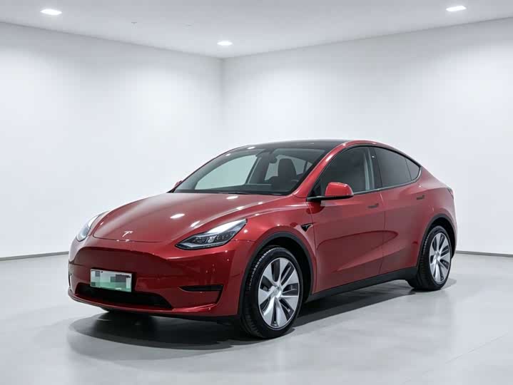 Model Y 2021 standard range rear-wheel drive version